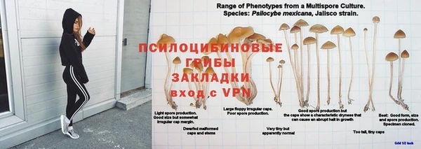 МДПВ Богородицк
